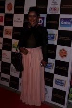 at the Red Carpet Of Dadasaheb Phalke Excellence Awards 2017 on 21st April 2017